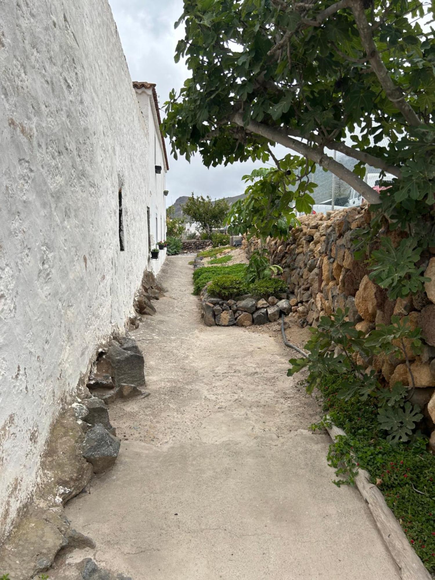Casa Rural El Pasil 2 Arona  Εξωτερικό φωτογραφία